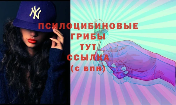 наркотики Богданович