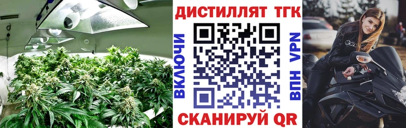 ТГК жижа  Наволоки 