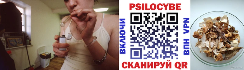 Галлюциногенные грибы Psilocybe Наволоки